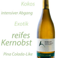 Morillon Leutschach Südsteiermark DAC – Bild 2
