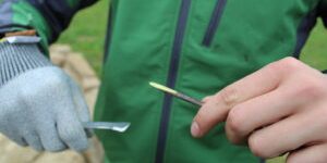 Veredelungsaktion-300×200