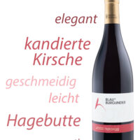 Pinot Noir 2021 – Bild 2